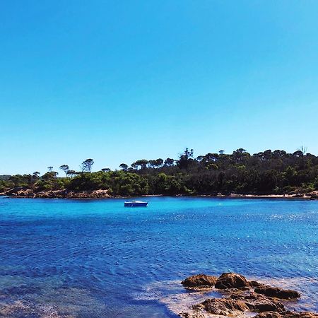 T2 Avec Terrasse & Parking A 5 Min Du Centre, 10 Min Des Plages Hyères Exterior foto