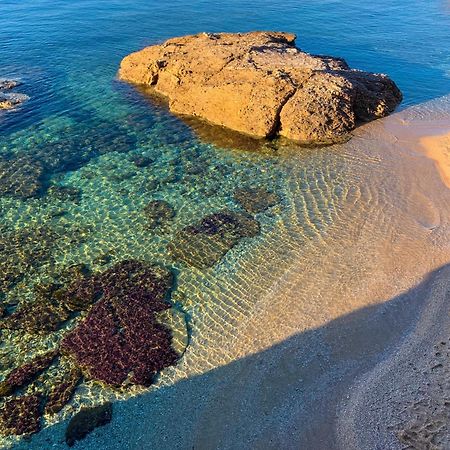 T2 Avec Terrasse & Parking A 5 Min Du Centre, 10 Min Des Plages Hyères Exterior foto