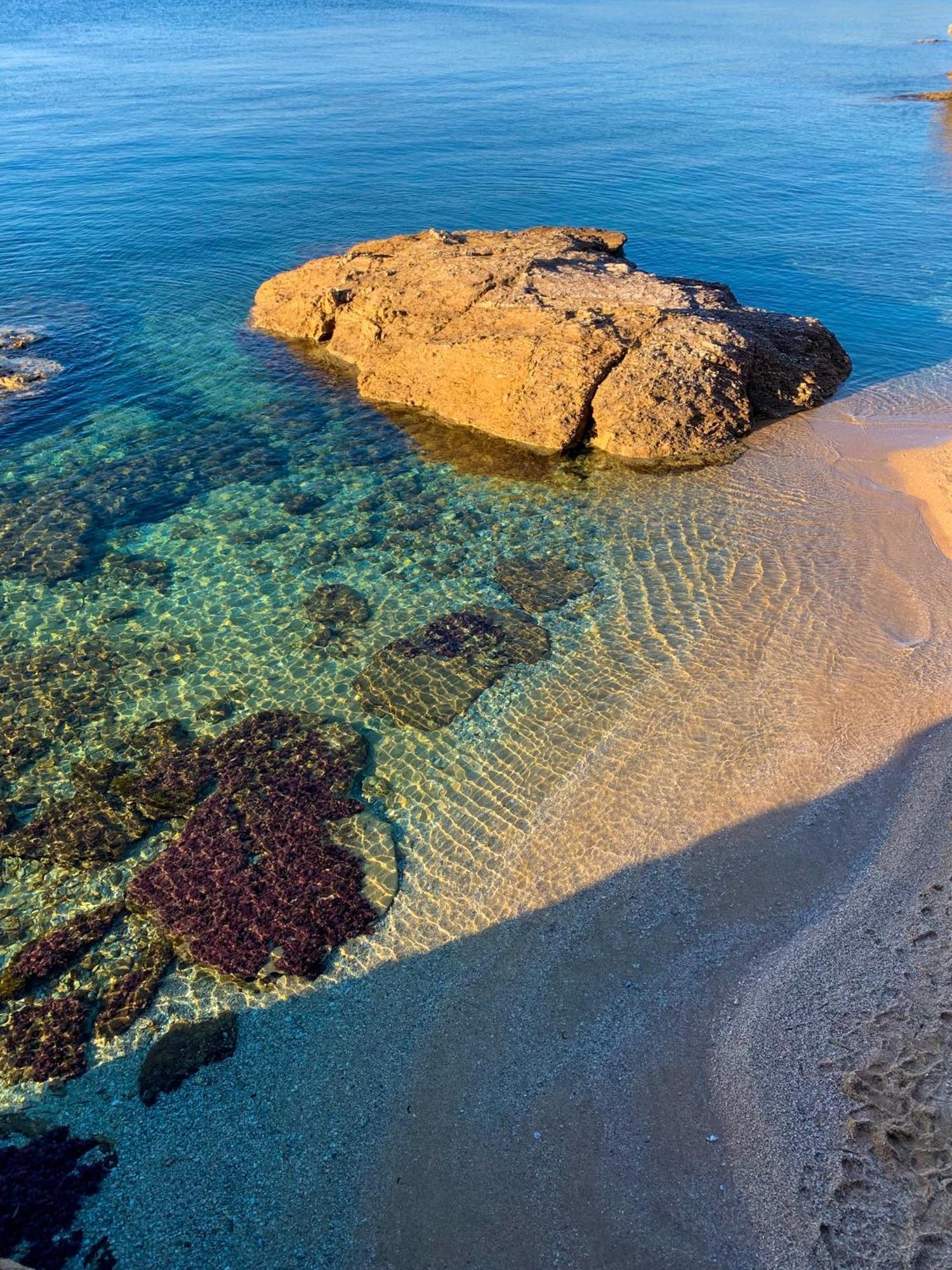 T2 Avec Terrasse & Parking A 5 Min Du Centre, 10 Min Des Plages Hyères Exterior foto